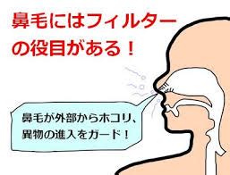 鼻毛長原因|鼻毛が伸びやすいのには原因・理由がある！【加齢や。